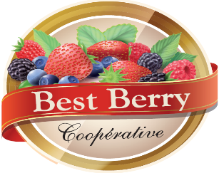 bestberry.ma