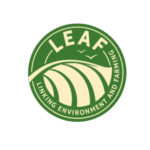 Untitled-design-2025-05-15T112949.088-removebg-preview