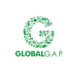 Untitled-design-2025-05-15T113132.392-removebg-preview