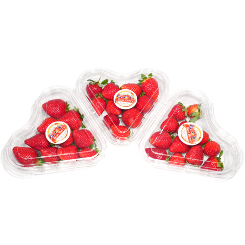 Untitled design - 2025-05-16T115451.056